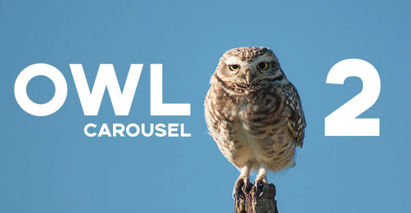 Слайдер для сайта Owl Carousel 2 — настройка просто и быстро